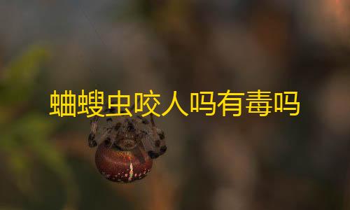 哒哒工具箱,三角洲下载蛐螋虫咬人吗有毒吗